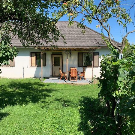 Urlaub Im Weingarten Winten  Dış mekan fotoğraf