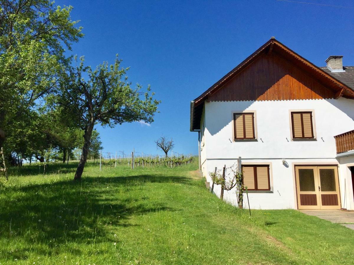 Urlaub Im Weingarten Winten  Dış mekan fotoğraf