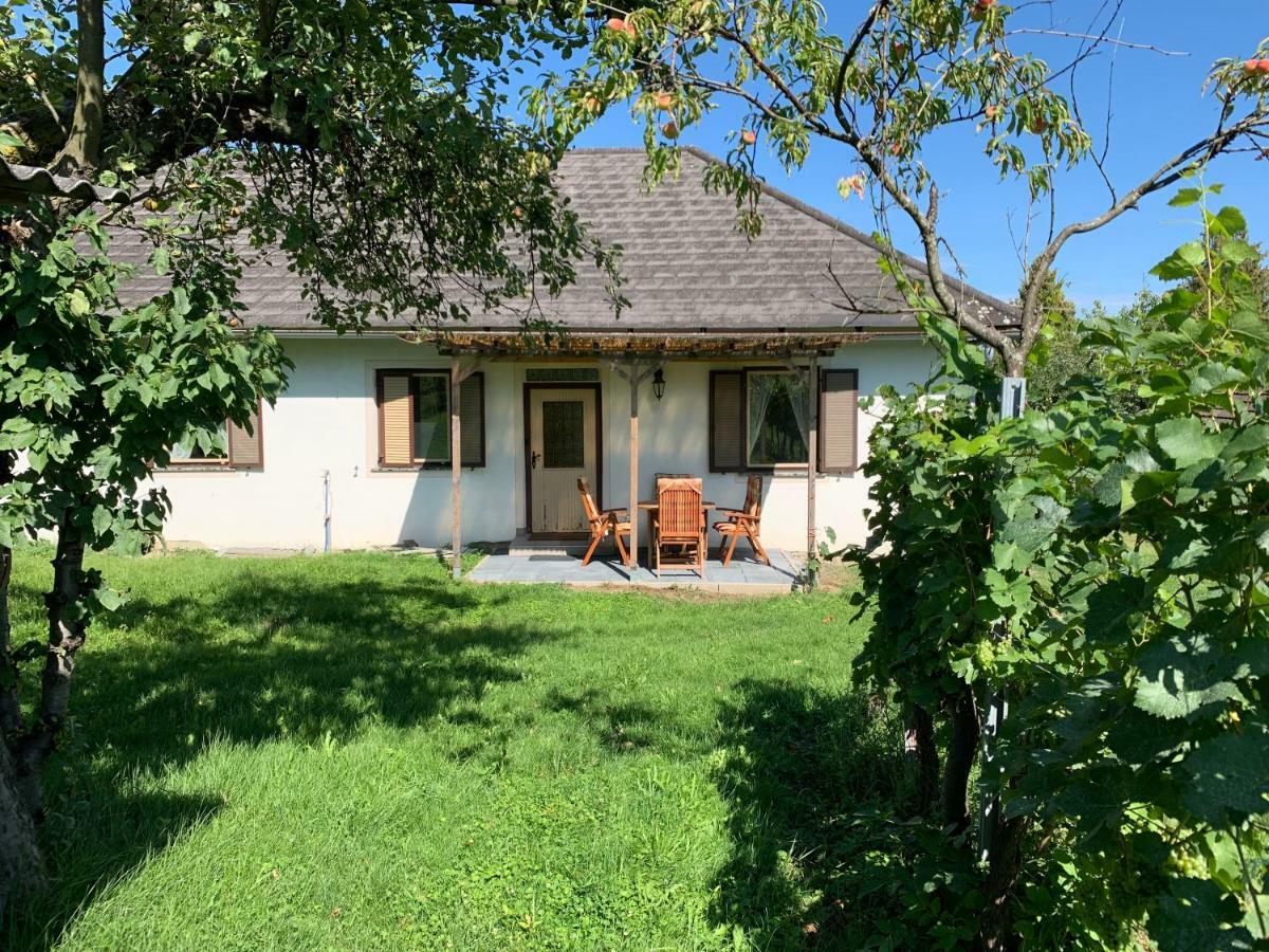 Urlaub Im Weingarten Winten  Dış mekan fotoğraf