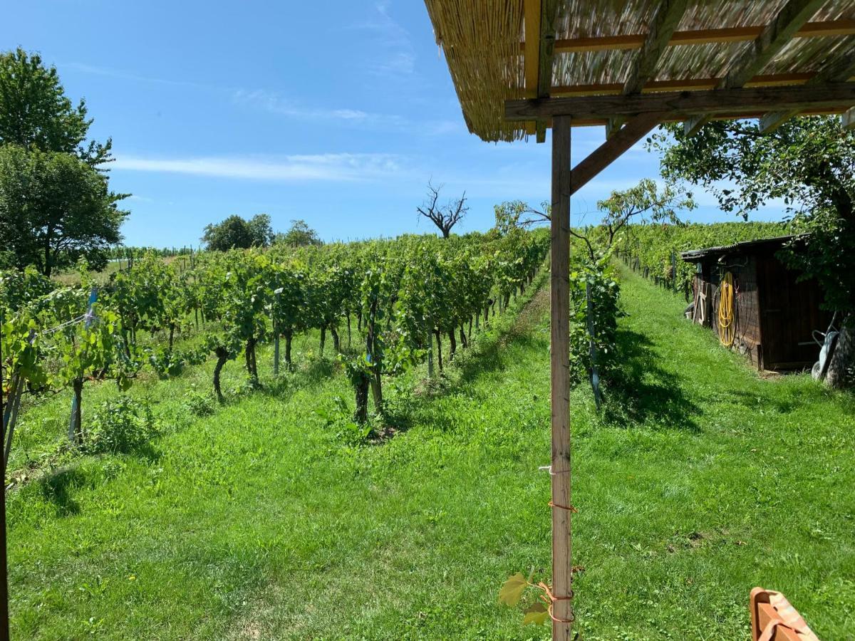 Urlaub Im Weingarten Winten  Dış mekan fotoğraf