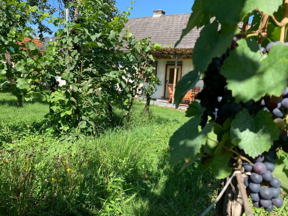 Urlaub Im Weingarten Winten  Dış mekan fotoğraf
